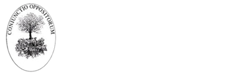Diego Comba Mediatore